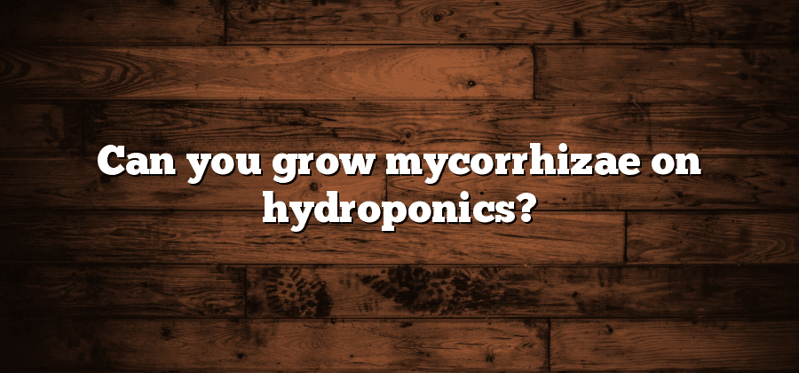 Can you grow mycorrhizae on hydroponics?