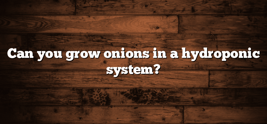 Can you grow onions in a hydroponic system?