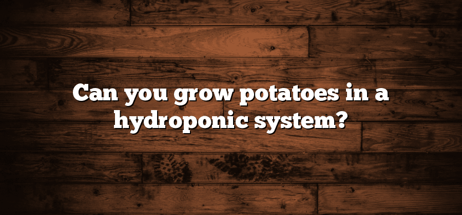Can you grow potatoes in a hydroponic system?