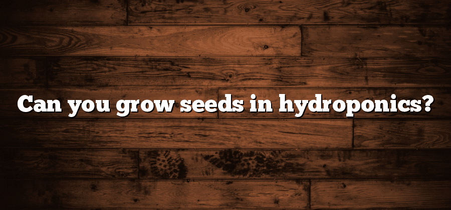 Can you grow seeds in hydroponics?