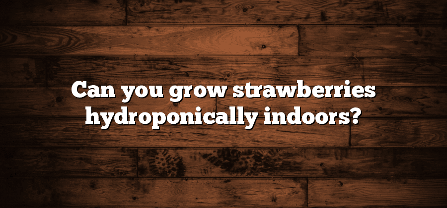 Can you grow strawberries hydroponically indoors?