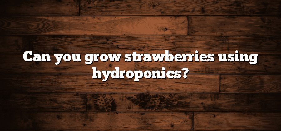 Can you grow strawberries using hydroponics?