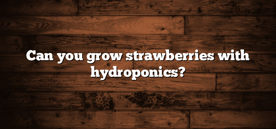 Can you grow strawberries with hydroponics?