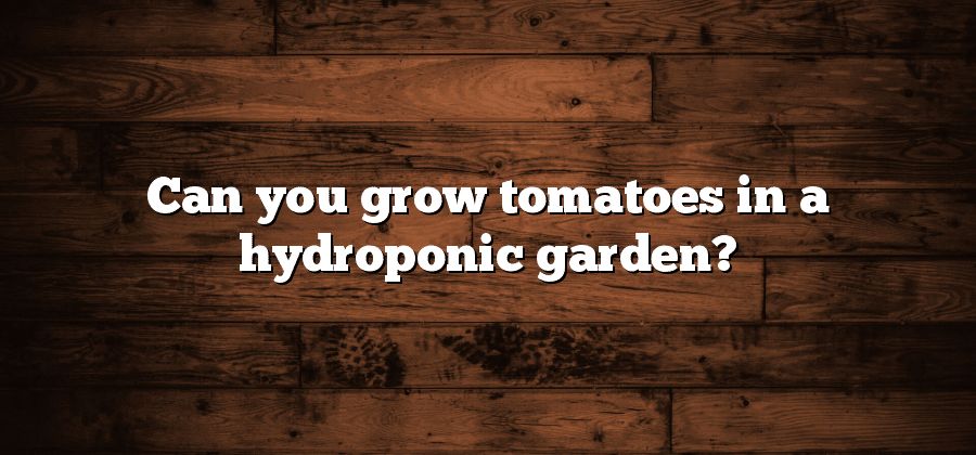 Can you grow tomatoes in a hydroponic garden?