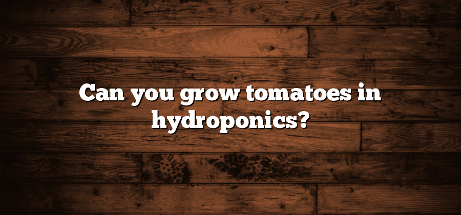Can you grow tomatoes in hydroponics?