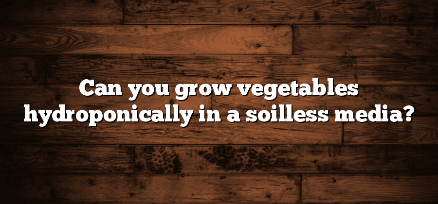 Can you grow vegetables hydroponically in a soilless media?