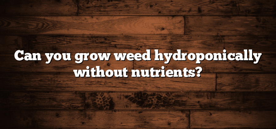 Can you grow weed hydroponically without nutrients?