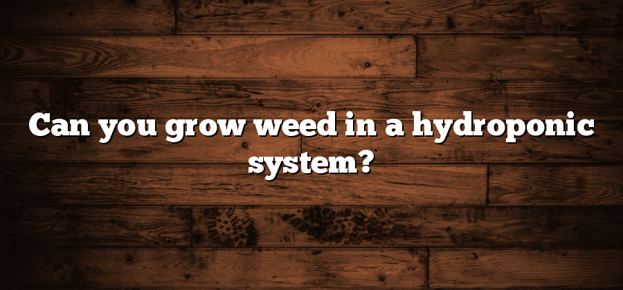 Can you grow weed in a hydroponic system?