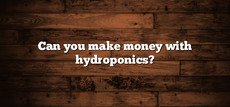 Can you make money with hydroponics?
