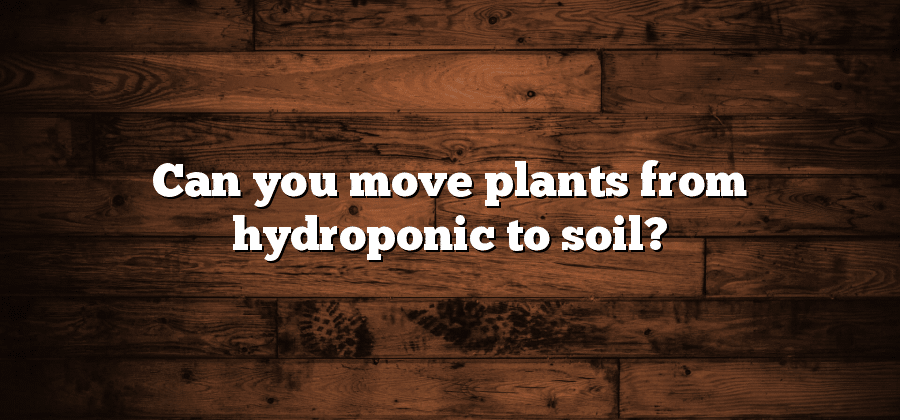 Can you move plants from hydroponic to soil?