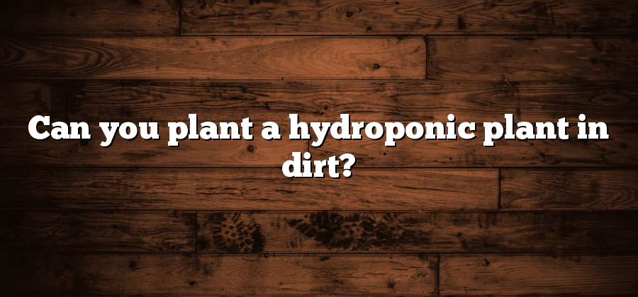 Can you plant a hydroponic plant in dirt?