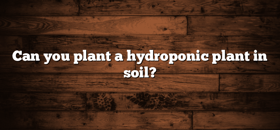 Can you plant a hydroponic plant in soil?
