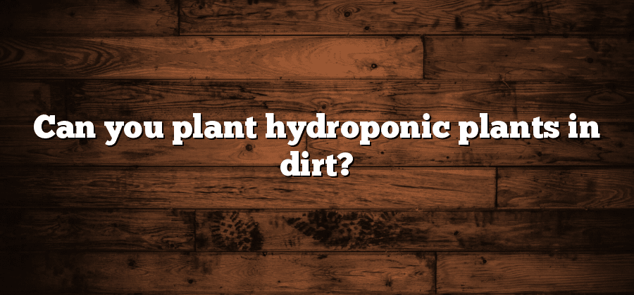 Can you plant hydroponic plants in dirt?