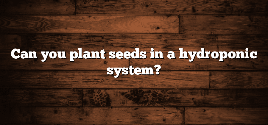 Can you plant seeds in a hydroponic system?