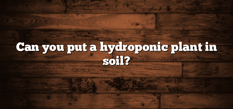 Can you put a hydroponic plant in soil?