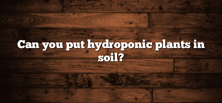 Can you put hydroponic plants in soil?