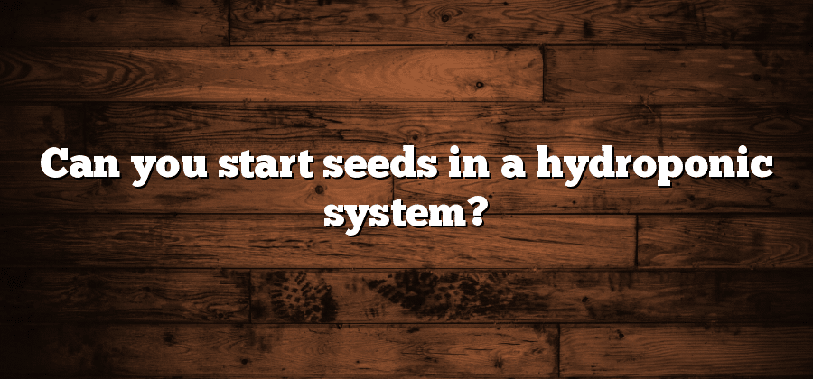 Can you start seeds in a hydroponic system?