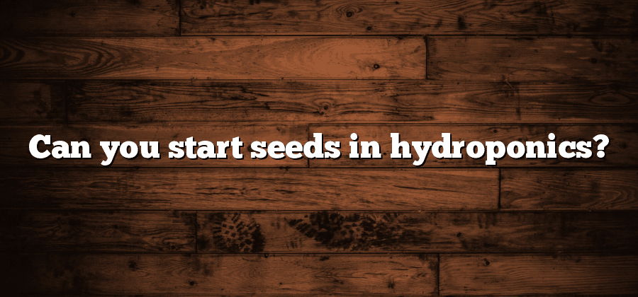 Can you start seeds in hydroponics?