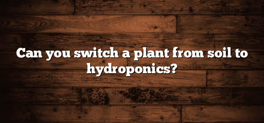 Can you switch a plant from soil to hydroponics?