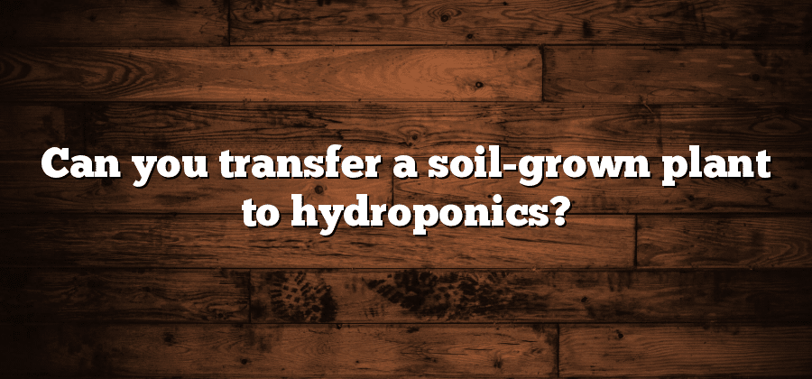 Can you transfer a soil-grown plant to hydroponics?