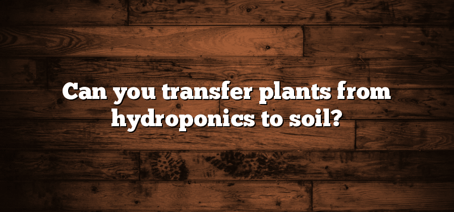 Can you transfer plants from hydroponics to soil?