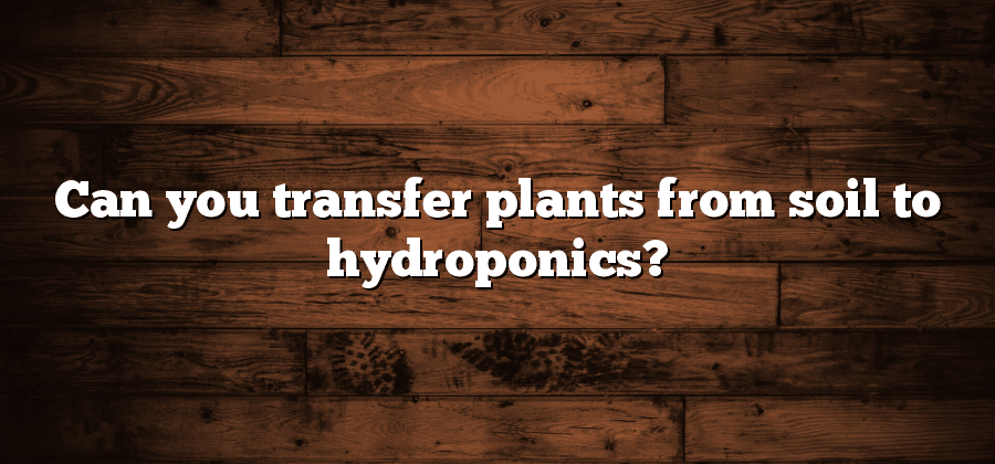 Can you transfer plants from soil to hydroponics?