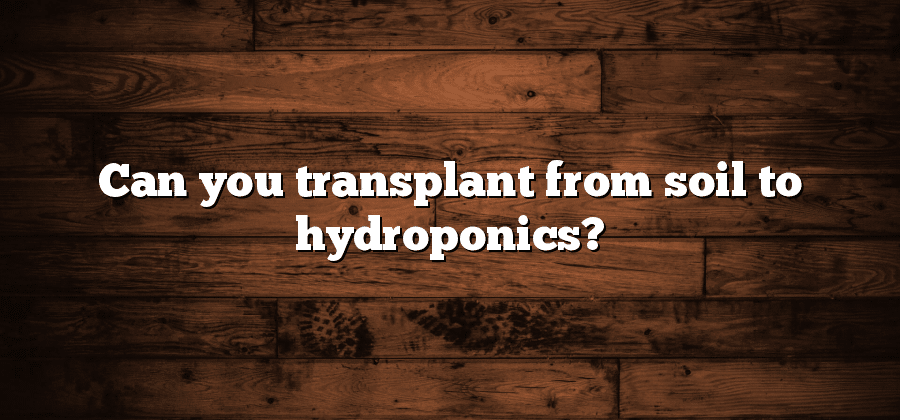 Can you transplant from soil to hydroponics?