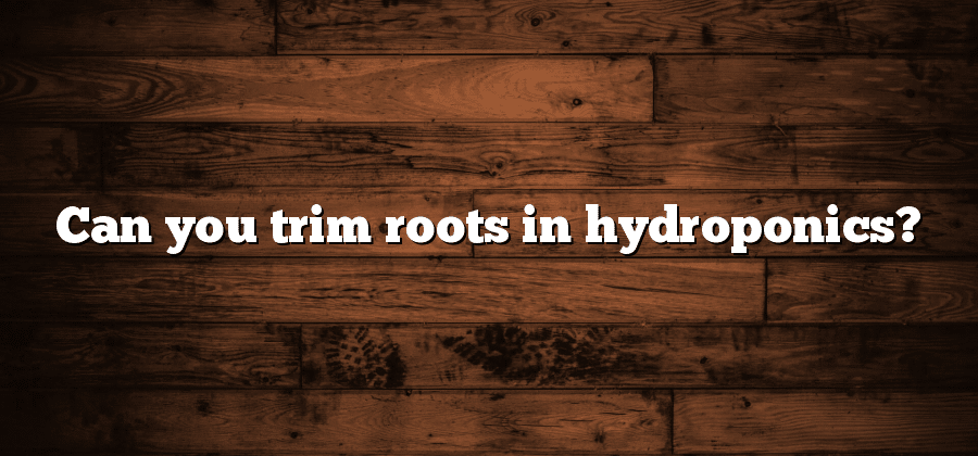 Can you trim roots in hydroponics?