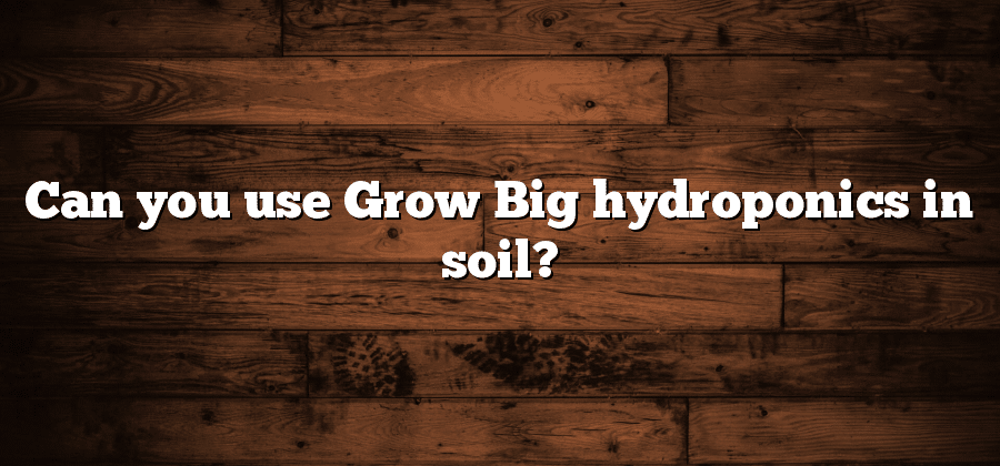 Can you use Grow Big hydroponics in soil?