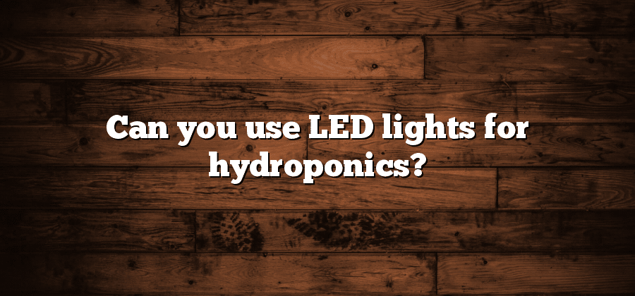 Can you use LED lights for hydroponics?