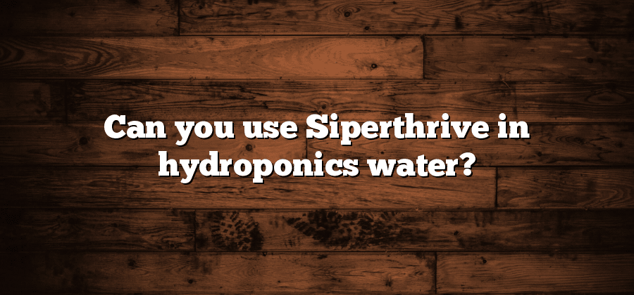 Can you use Siperthrive in hydroponics water?
