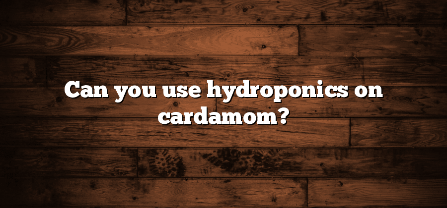 Can you use hydroponics on cardamom?