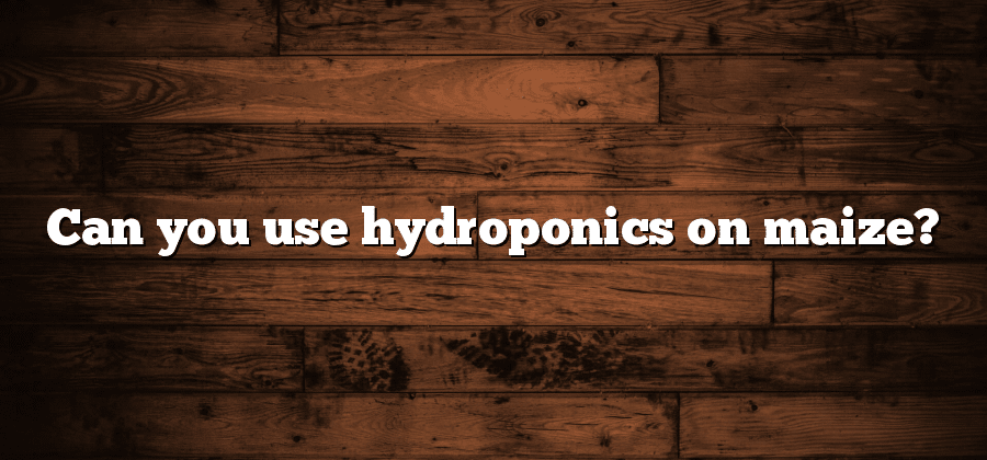 Can you use hydroponics on maize?