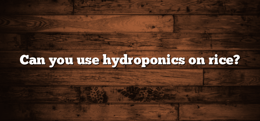Can you use hydroponics on rice?
