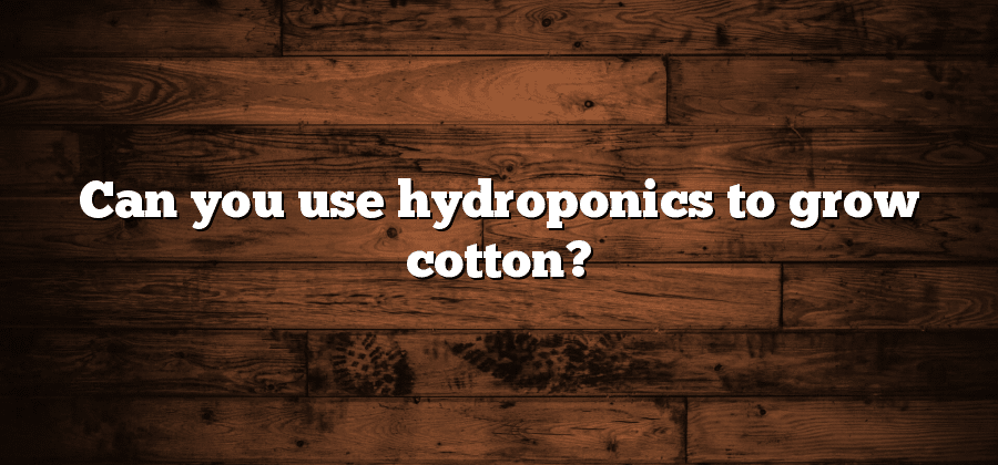 Can you use hydroponics to grow cotton?