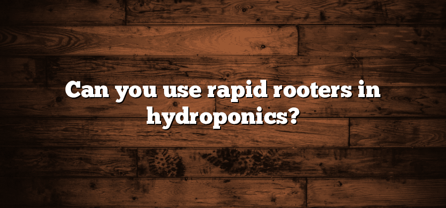 Can you use rapid rooters in hydroponics?