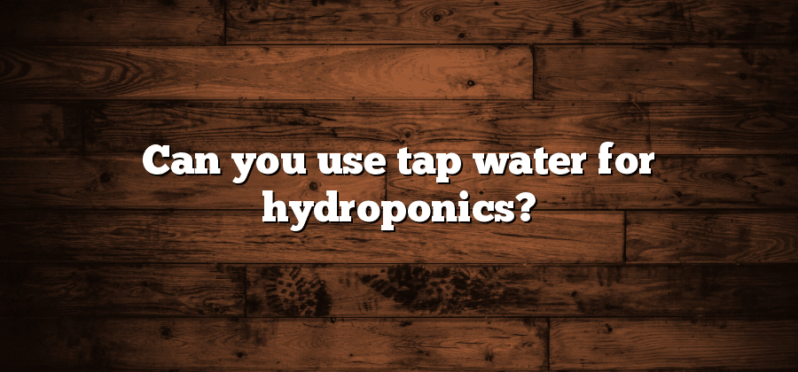 Can you use tap water for hydroponics?