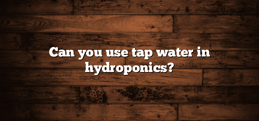 Can you use tap water in hydroponics?