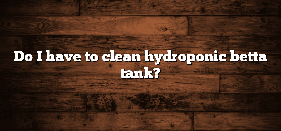 Do I have to clean hydroponic betta tank?