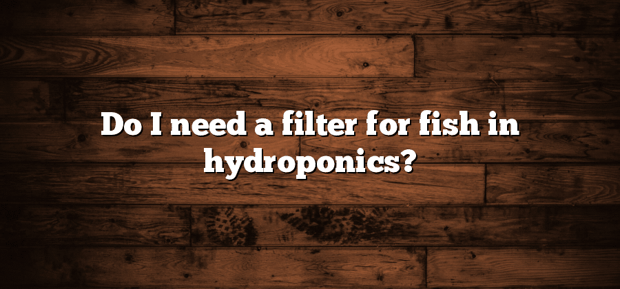 Do I need a filter for fish in hydroponics?