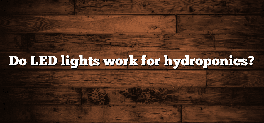 Do LED lights work for hydroponics?