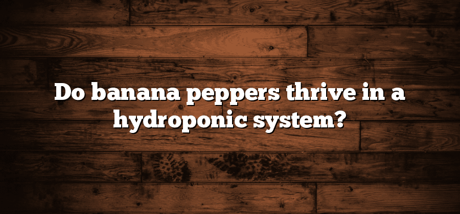 Do banana peppers thrive in a hydroponic system?