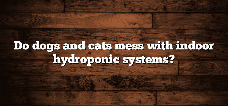 Do dogs and cats mess with indoor hydroponic systems?