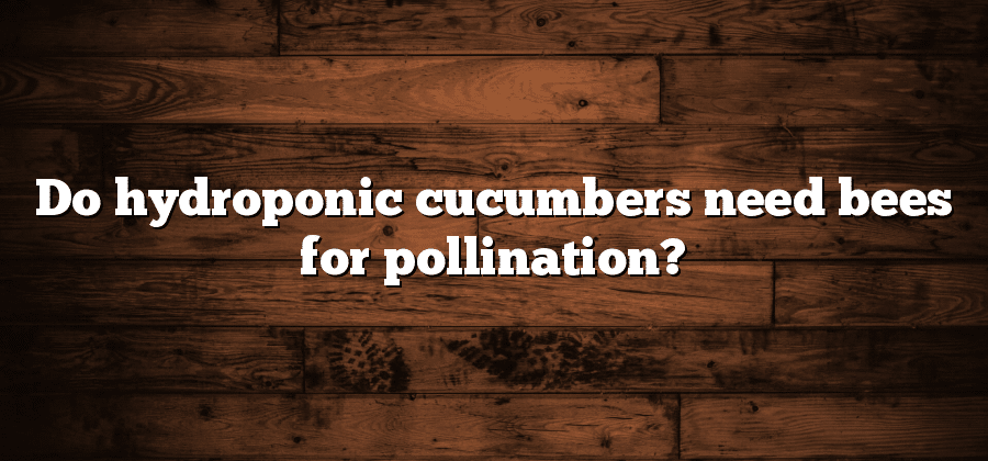 Do hydroponic cucumbers need bees for pollination?