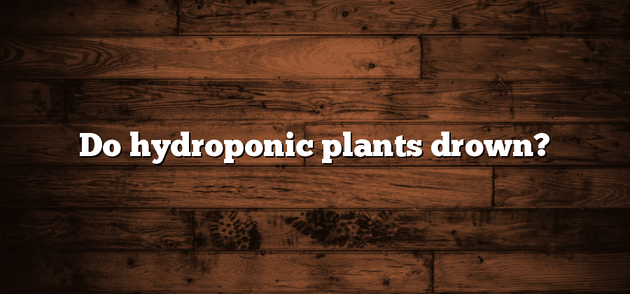 Do hydroponic plants drown?