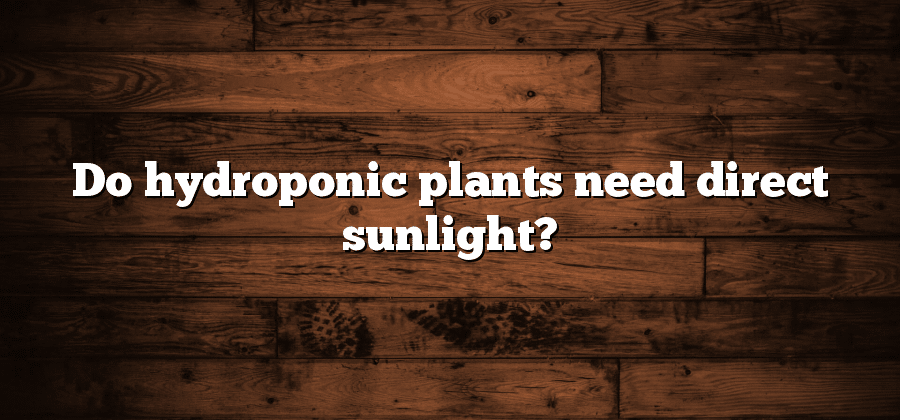 Do hydroponic plants need direct sunlight?