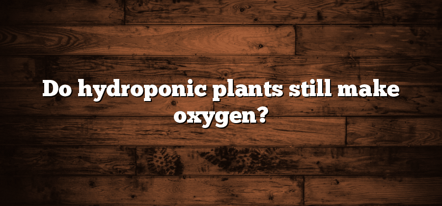 Do hydroponic plants still make oxygen?