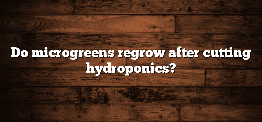 Do microgreens regrow after cutting hydroponics?