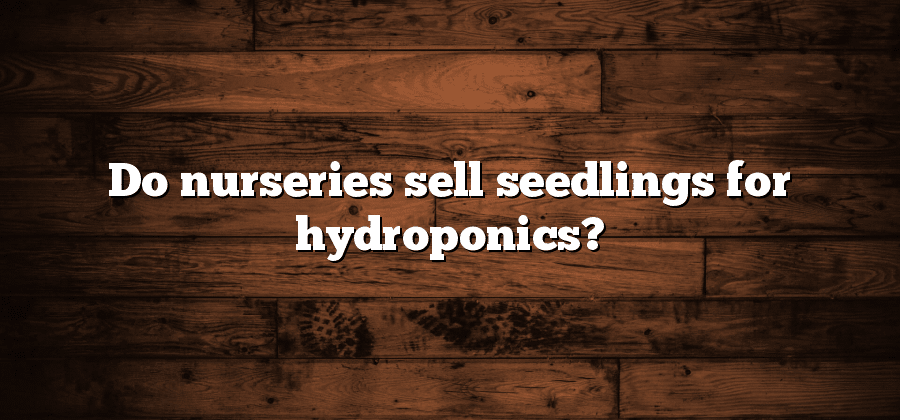 Do nurseries sell seedlings for hydroponics?