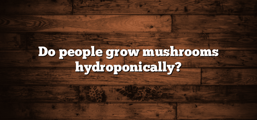 Do people grow mushrooms hydroponically?